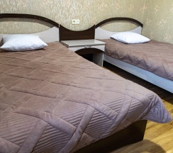 Стандарт с двумя раздельными кроватями  в АэроОтель