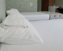 Трехместный номер "Стандарт" (три односпальных кровати) в Колос