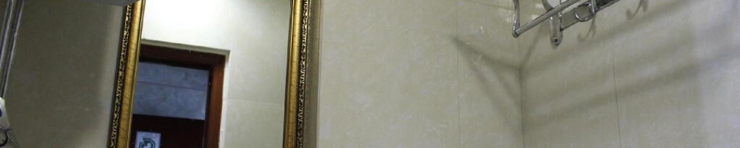 Одноместный номер Standard в Gold Sparrow Hotel
