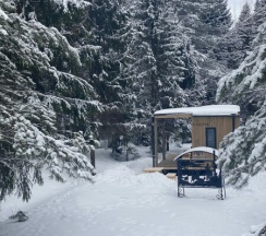 "Сосна" в След Лося