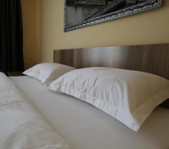 Двухместный номер Standard двуспальная кровать в Altai Business Hotel