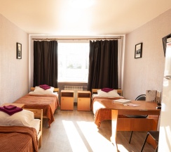 Трехместный номер эконом-класса  в Брусника