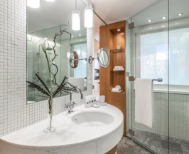 Номер Swiss Executive, с доступом в Swiss Executive Lounge - с 2 кроватями в Swissotel Красные Холмы