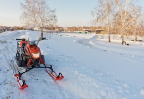 Турбаза Подсолнухи в Омской области