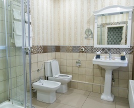 Стандартный улучшенный двухместный номер в Business hall