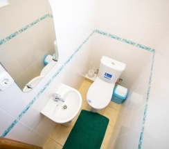 Бюджетный двухместный номер в Rose manor