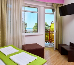 Стандарт семейный ПЛЮС с балконом в Диса