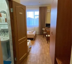 Классический в Дельфин