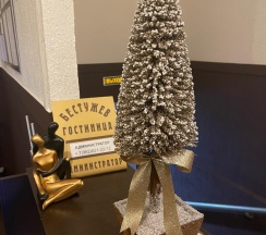 Номер стандарт с 1 двуспальной кроватью в Бестужев