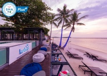 Кровать в общем номере c 1 комнатой в Lub d Koh Samui Chaweng Beach - Hostel