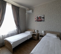 Стандарт в Петровская