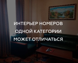 Люкс (Доп. корпус) в Vnukovo Village