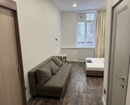 Номер стандарт с 1 двуспальной кроватью №206 в ПушкинStreet