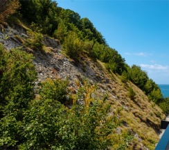Студия с видом на горы / Studio mountain view в Lavicon Apart Olginka