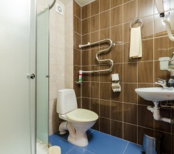 2-местный номер стандарт в Плесков