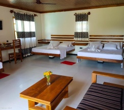 Двухместный люкс Deluxe двуспальная кровать в Eco Hotel Black & White - Anuradhapura