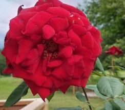 Трёхместный коттедж Economy в Страна Души