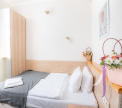Одноместный в Александр Hotel