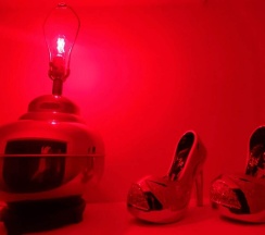 Номер Standard с видом на сад в Austin Uncommon Room Rentals