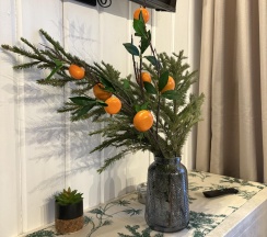 Дом 3 в Хвоя