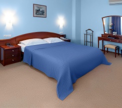 Люкс в Александровский сад