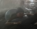Водная ривьера: отзыв от Наталья Герасимова