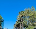 SunLine Luxury: отзыв от Сабрина —