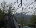 Pine River Красная Поляна: отзыв от Olga S