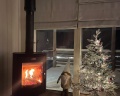 Wish Home Eco-Lodge Yahroma: отзыв от Lyubov Nepovinnykh