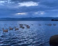 Море Гусиное: отзыв от Аксинья Акулова
