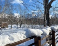 Kamchatka forest lodge: отзыв от Tatyana Klimova