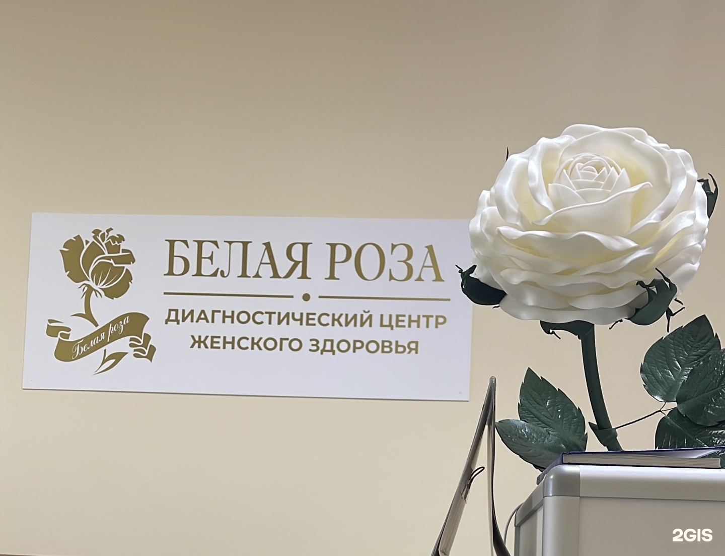 Центр женского здоровья на яблочкова