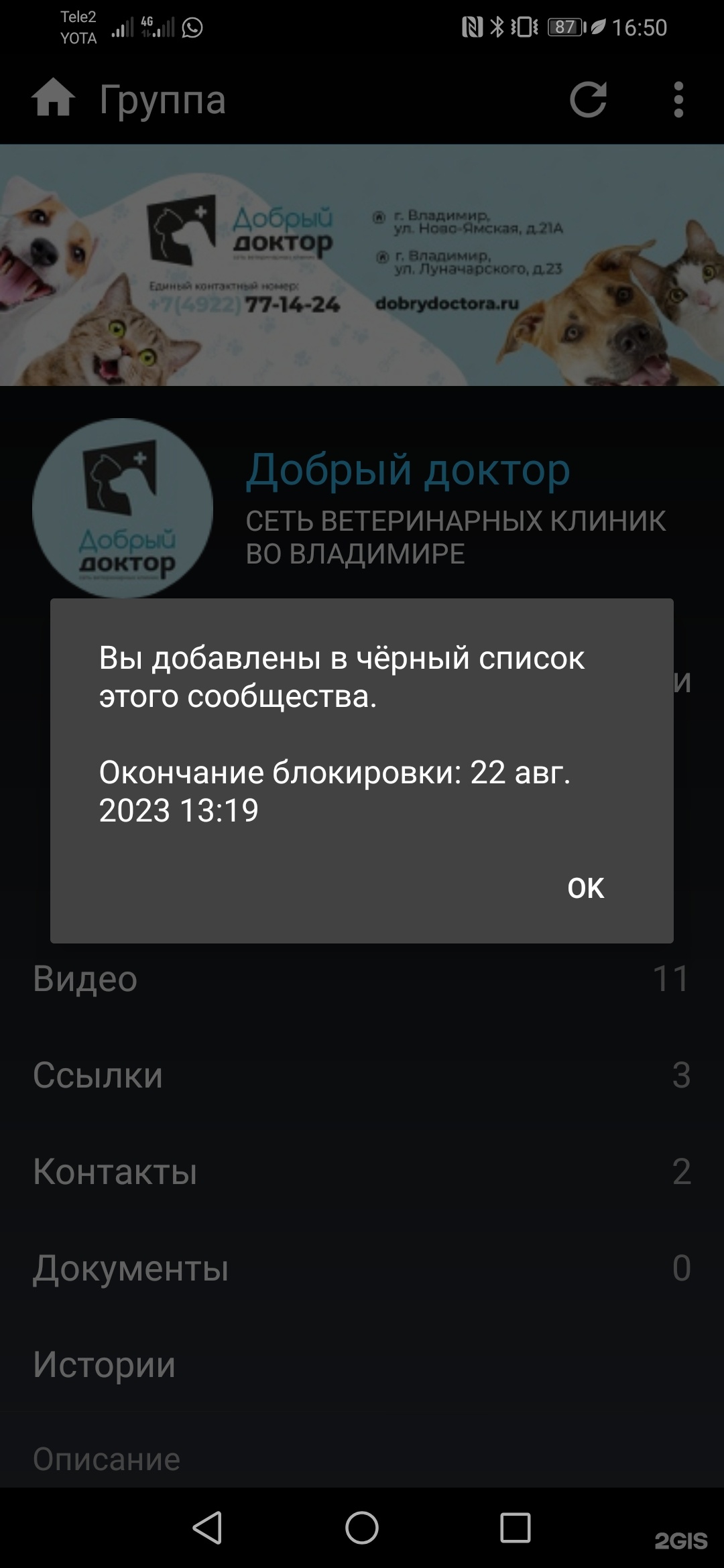 Добрый доктор, ветеринарная клиника, Ново-Ямская, 21а, Владимир — 2ГИС