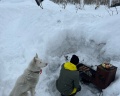 Горячая Сопка: отзыв от Дарья Шиловская