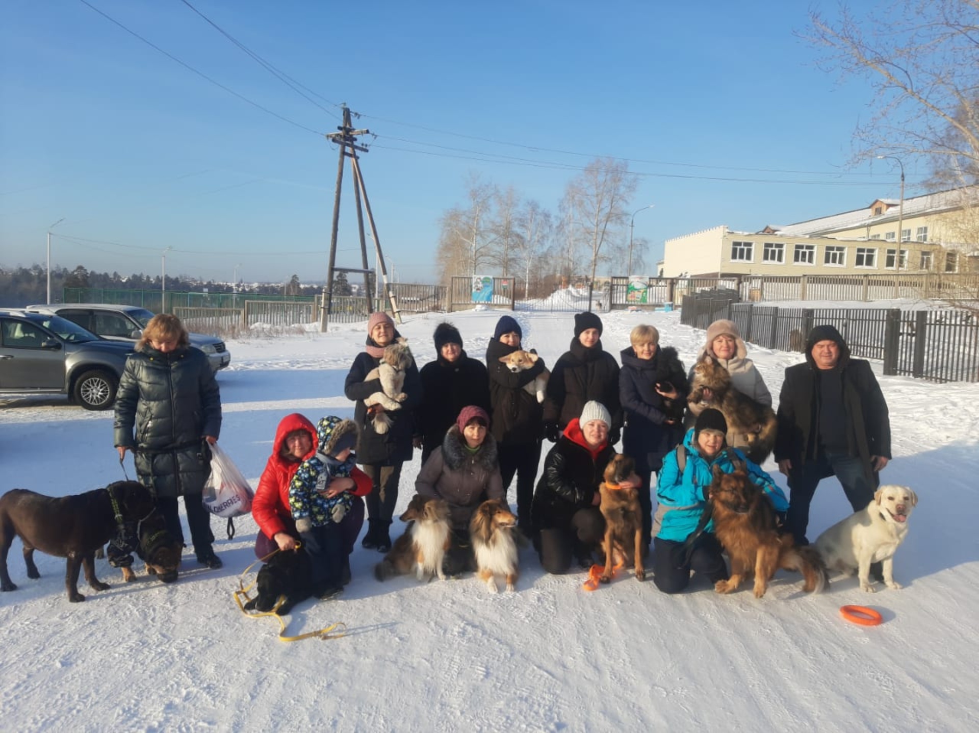 Спортивно-кинологический центр, Бульвар Космонавтов, бульвар Космонавтов,  37а, Братск — 2ГИС