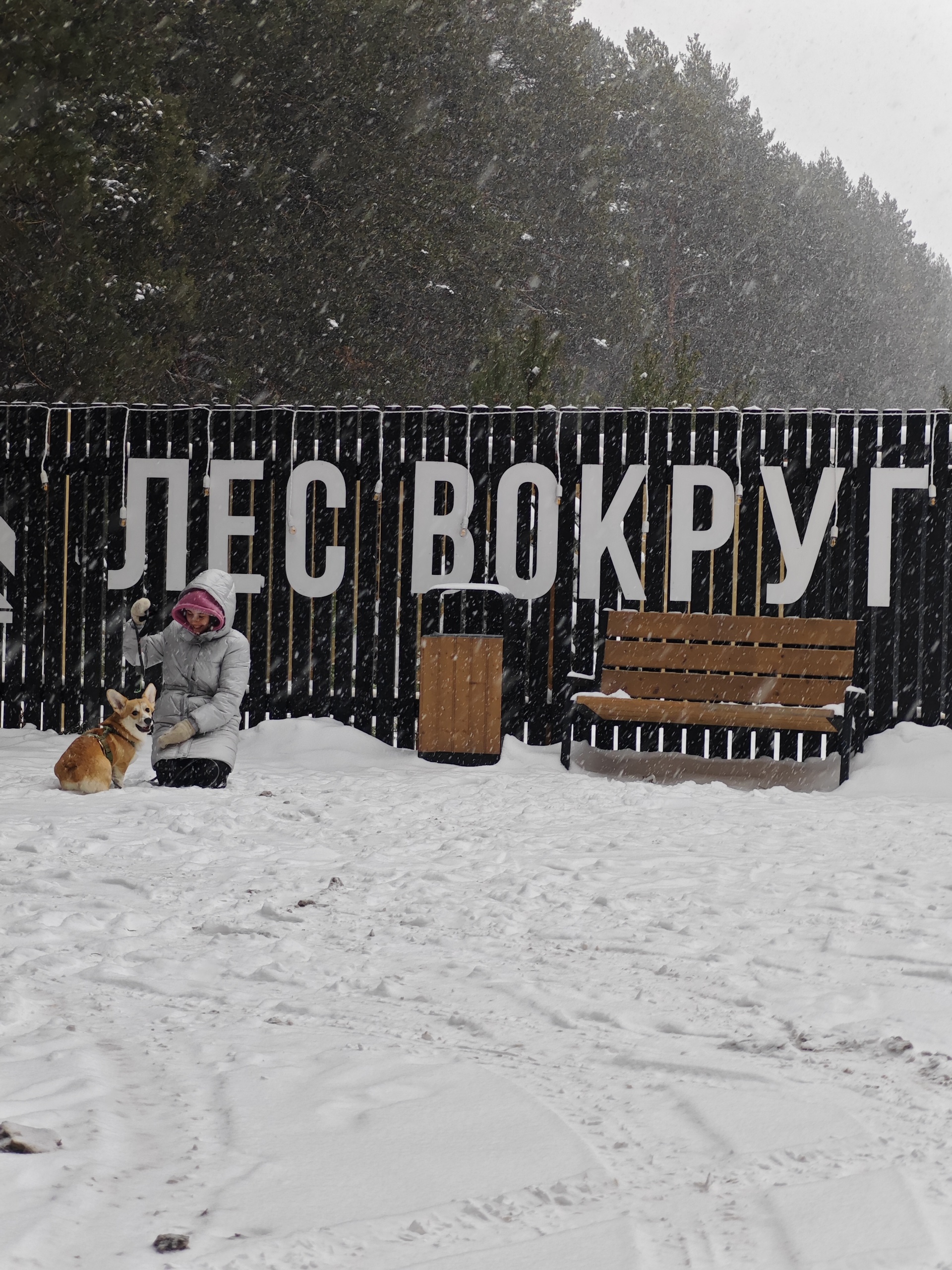 Лес Вокруг, глэмпинг, деревня Башарово, Дом отдыха, Киров городской округ —  2ГИС