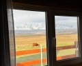 Altay Life этно: отзыв от Helena Aneleh