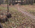 Welna Eco Spa Resort: отзыв от Антон Поляков