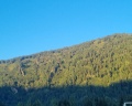 Grunhof: отзыв от Анна Варновская