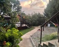 Деревня Мишкино: отзыв от Алёна К