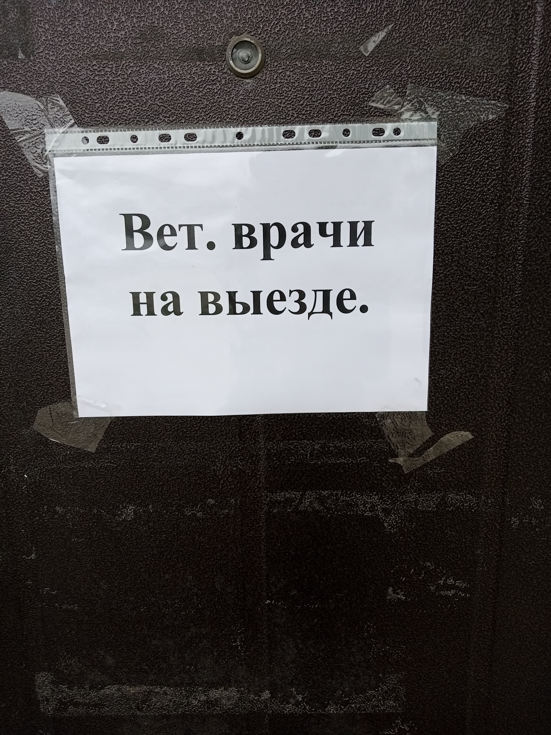 Станция по борьбе с болезнями животных №1, улица Советская, 8, Южно- Сахалинск — 2ГИС