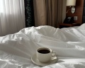 Hilton Garden Inn: отзыв от Ирина Петрова