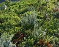 Rodina Residences Vladivostok 5*: отзыв от Katerina K