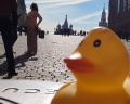 Храм Василия Блаженного: отзыв от Николай Елкин