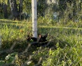 Altai ForRest: отзыв от Lena Tolubaeva
