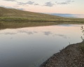 Подсолнухи: отзыв от Людмила Кравченко