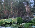 Борвиха hotel&SPA: отзыв от Зарина Джебраилова