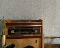 Chickadee Coliving: отзыв от Арина Пушкарева