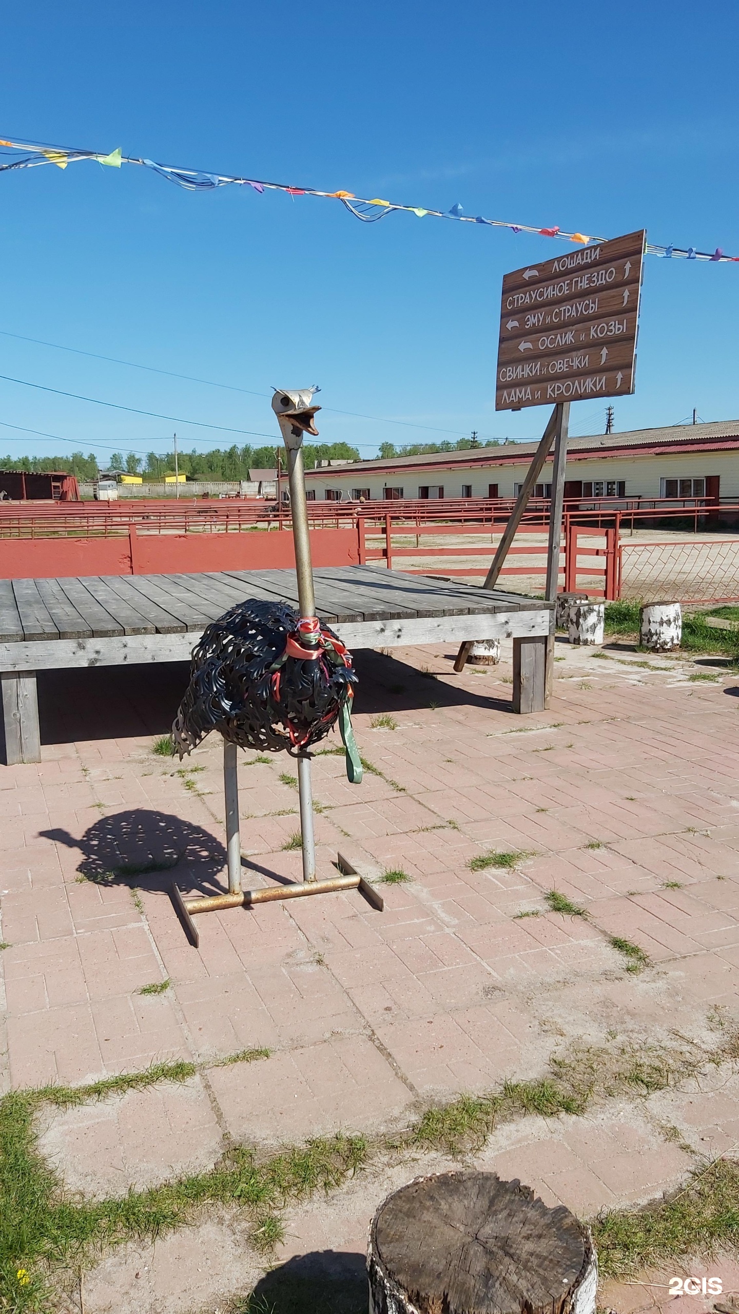 Русский страус, страусиная ферма, деревня Старые Кузьменки, вл1, д. Старые  Кузьменки — 2ГИС