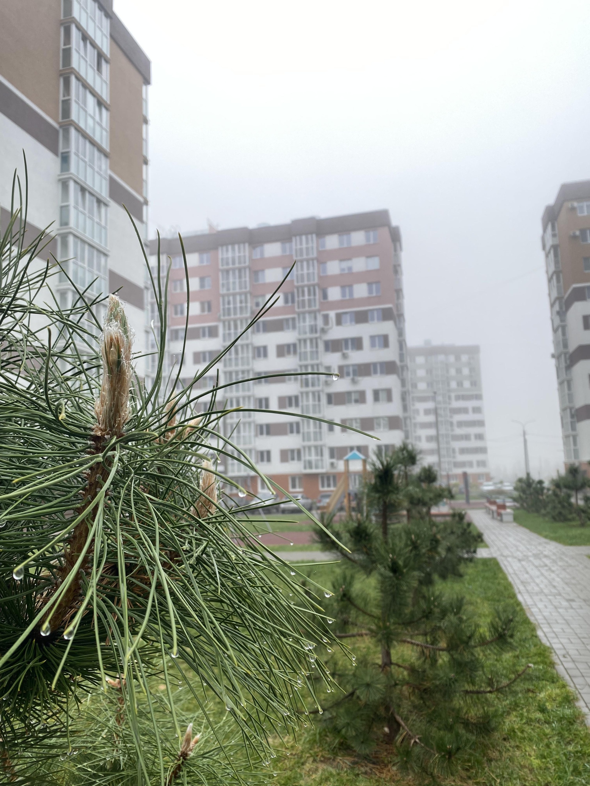 Волгоград, Жилой комплекс 